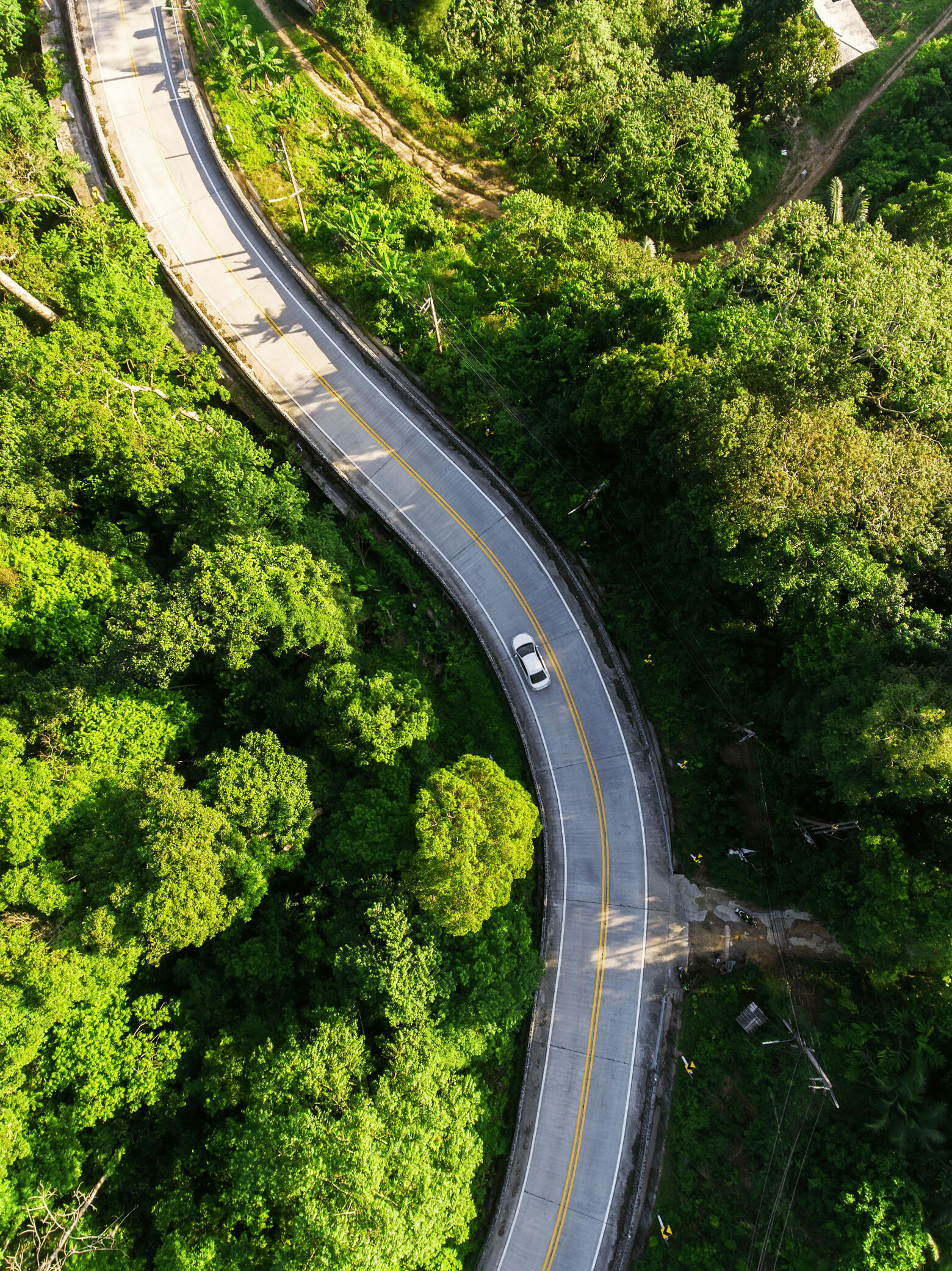 Winding road through a forrest with a single car on the road